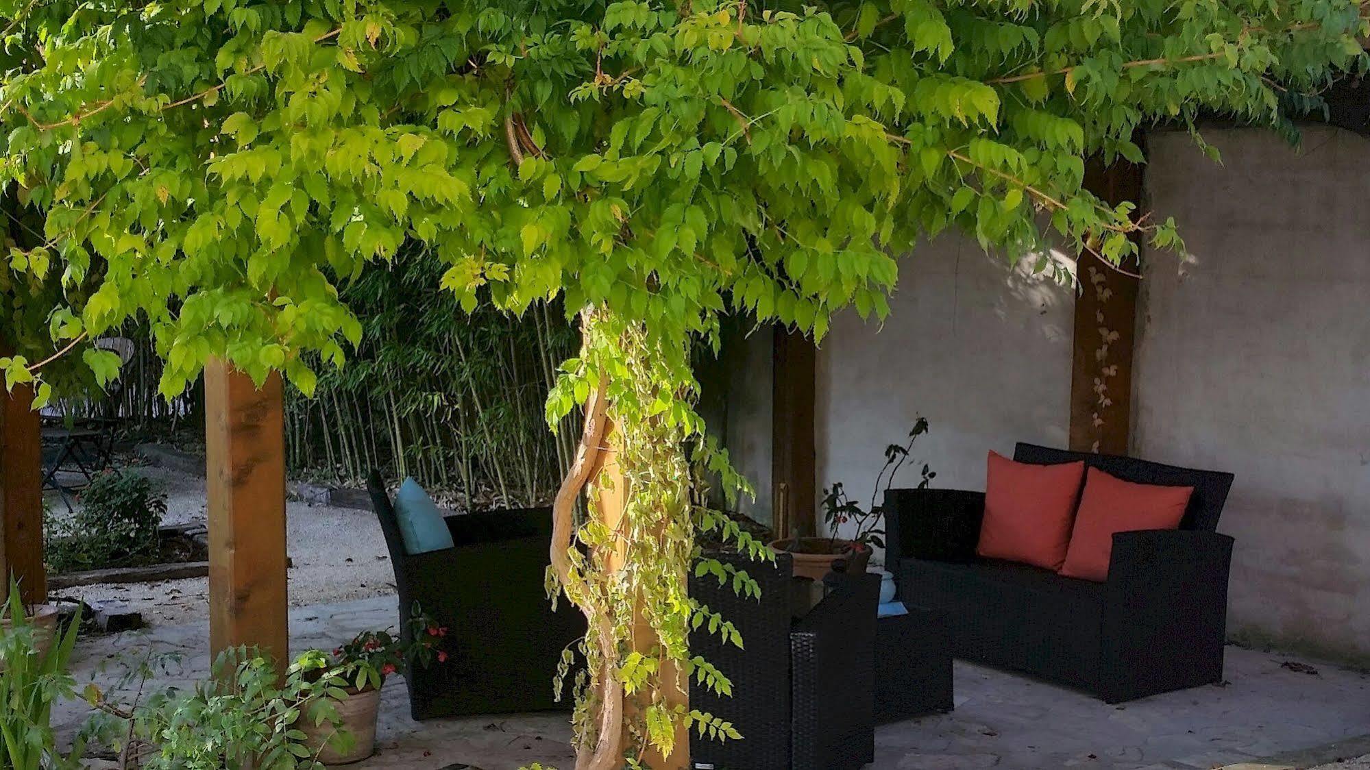 Le Synaya Otel Sanary-sur-Mer Dış mekan fotoğraf